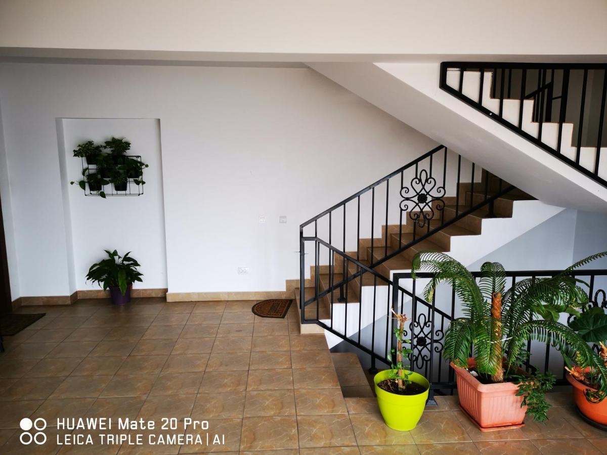 Cluj City Marasti Apartament 2 Dış mekan fotoğraf