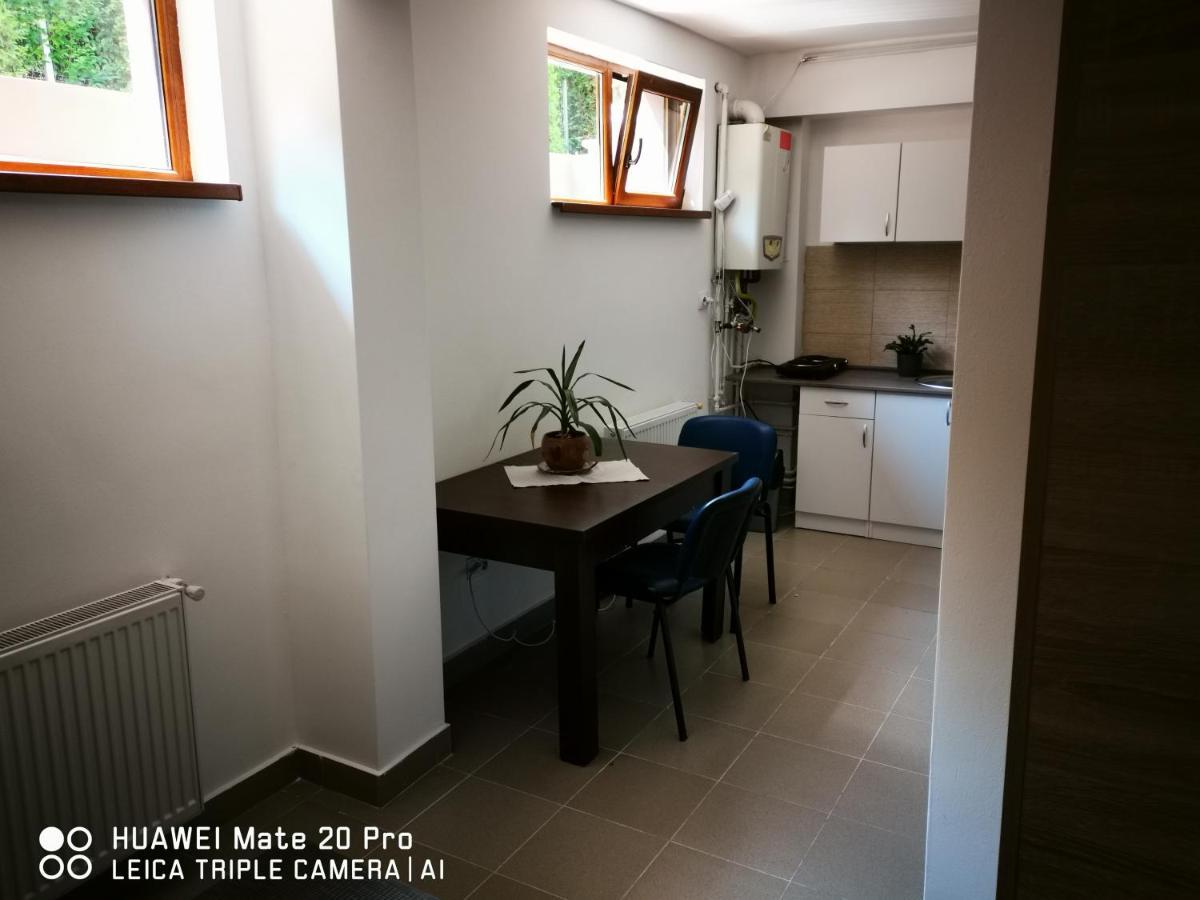 Cluj City Marasti Apartament 2 Dış mekan fotoğraf