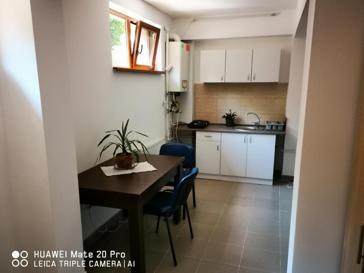 Cluj City Marasti Apartament 2 Dış mekan fotoğraf